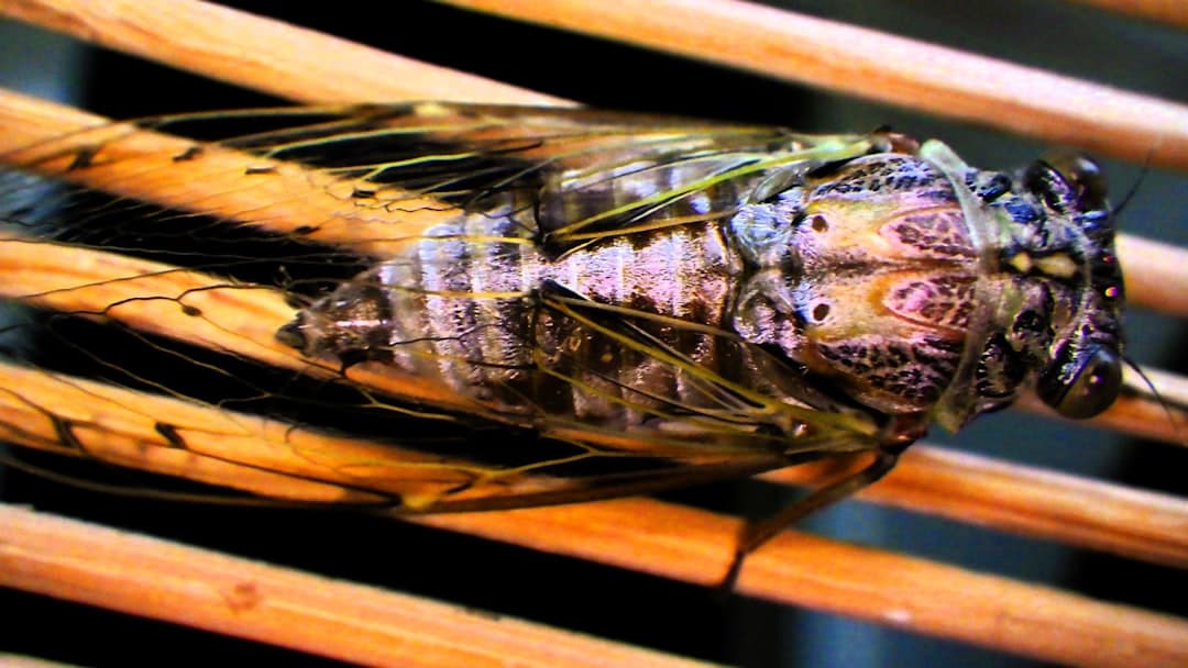 What are SCADA systems in energy?