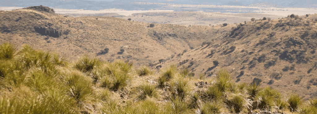 ION Minerals expands lithium footprint in Texas, Saskatchewan