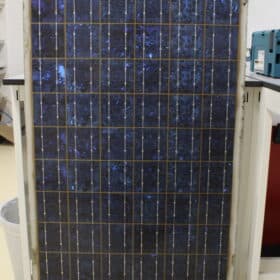 Dismantled 28-year-old PV system reveals wasps nest in junction box