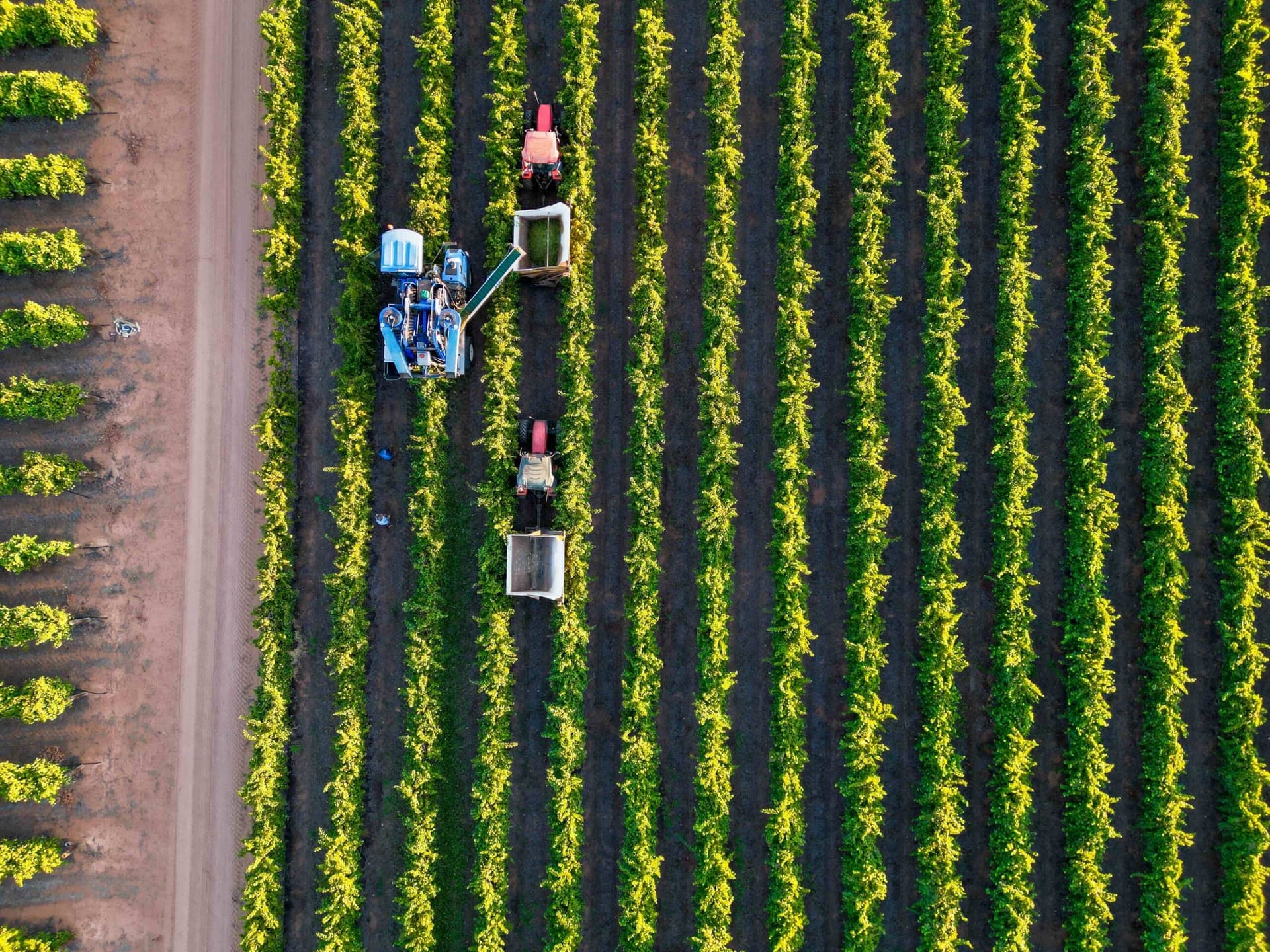 Australasian Space Innovation Institute unveils National Digital Twin for Agriculture