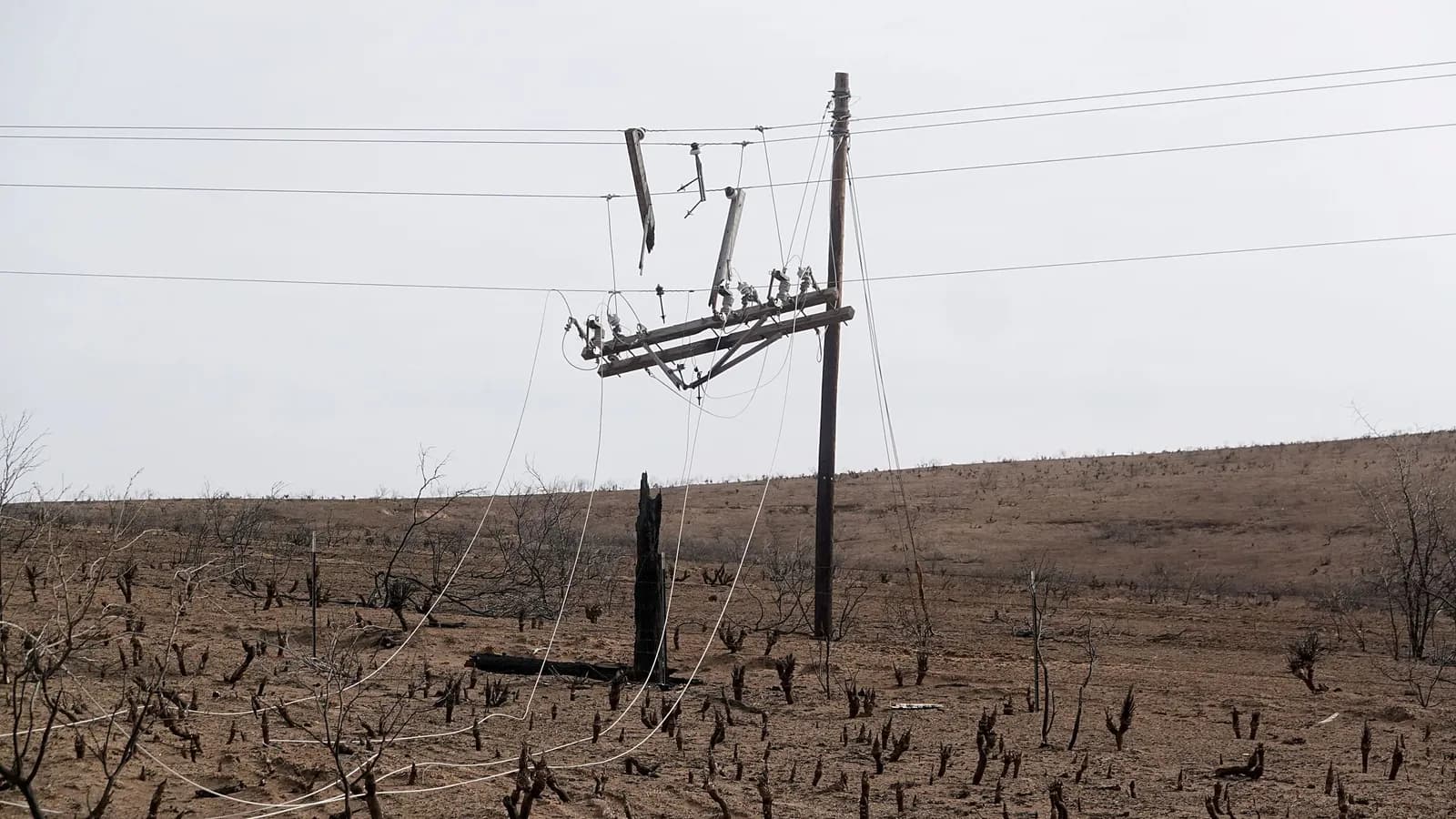 Xcel must begin pole replacement in Texas as court weighs Smokehouse Creek fire lawsuit