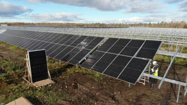 First solar project backed by EU’s cross-border tender starts operating